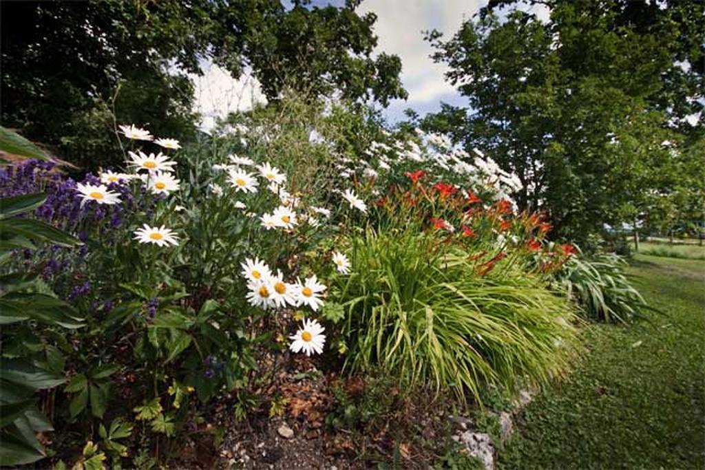 Mollens  La Belle Saison B&B 외부 사진